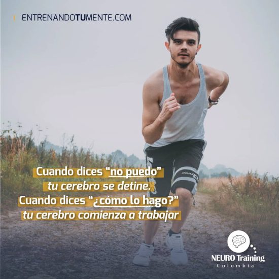 IMG-20181113-WA0014